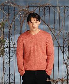 xander13 (244x300, 24 kБ...)